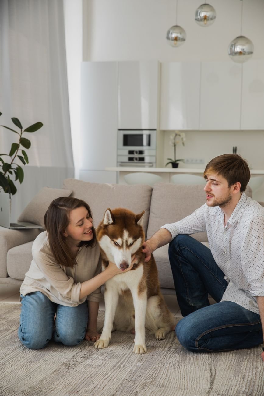 A couple enjoying a calm moment with their dog in a bright, modern living room
